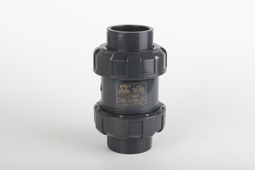 丰顺双由令止回阀